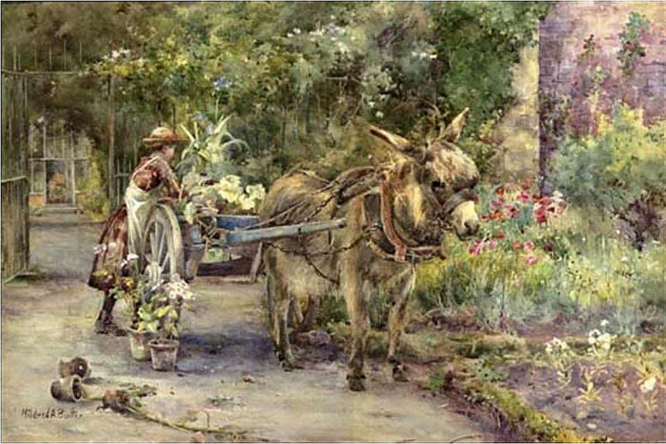 The Garden Cart